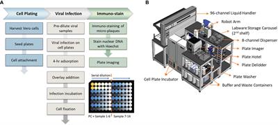 Fully automated high-throughput immuno-µPlaque assay for live-attenuated tetravalent dengue vaccine development